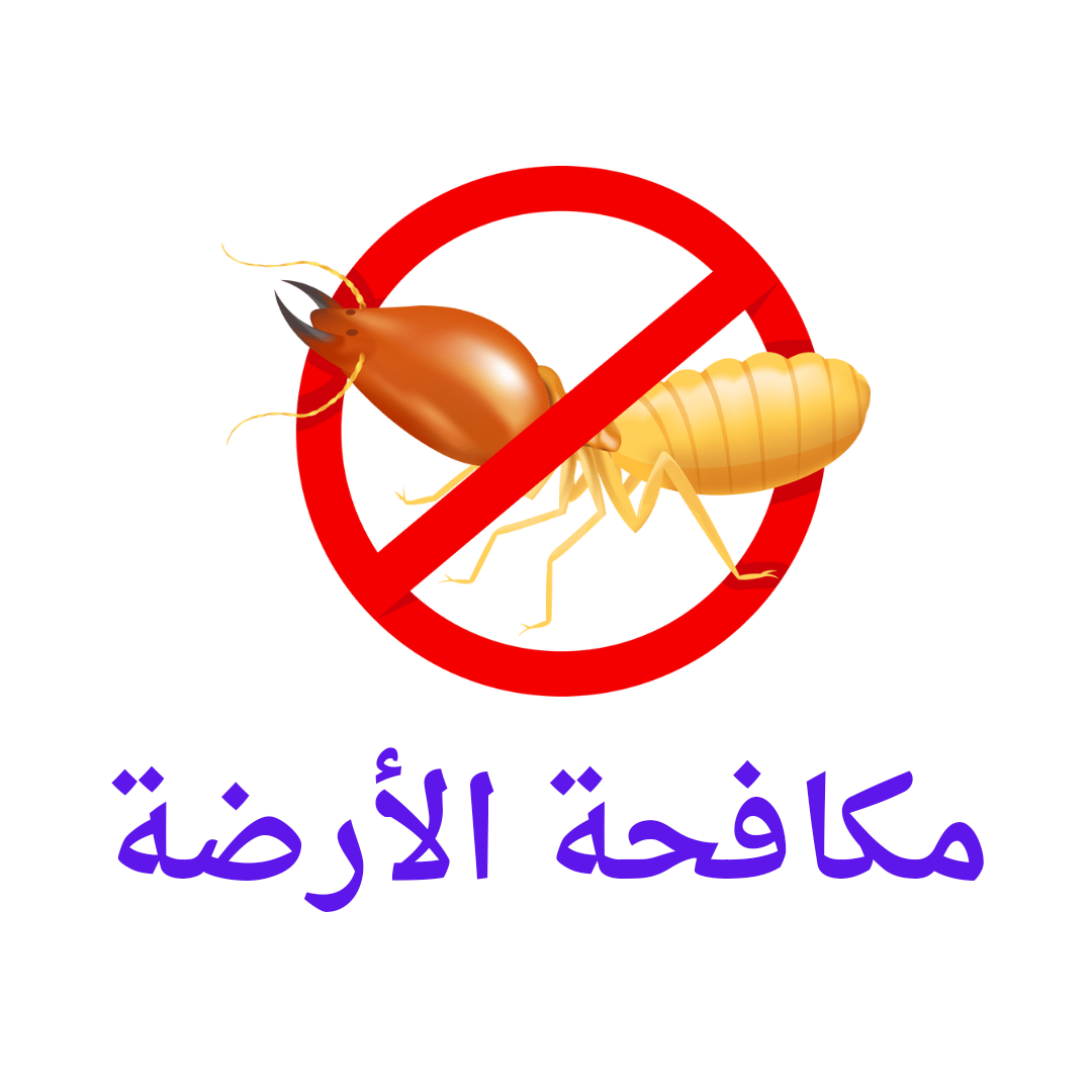   مكافحة الأرضة 